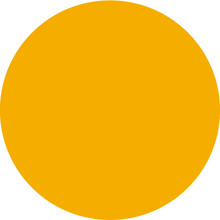 Full Time Fractional Team