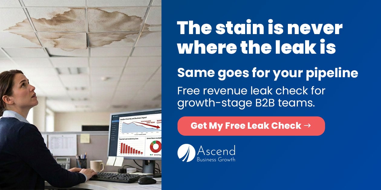 Revenue Leak Check for Growth-Stage B2B Companies Revenue Leak Check for Growth-Stage B2B Companies